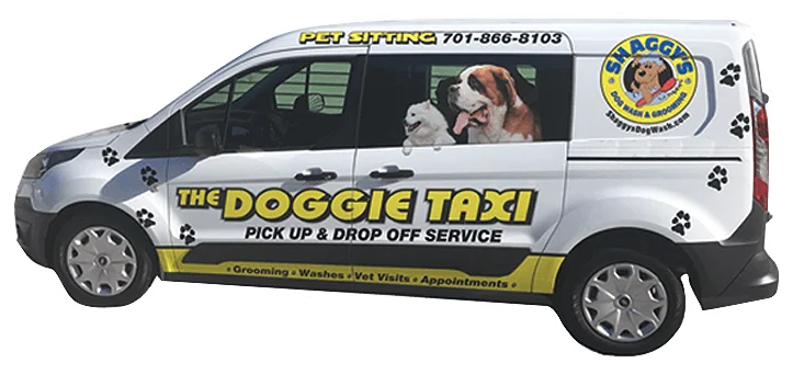 South Fargo's Pet Care Specialists: Shaggy’s Dog Wash & Grooming - Where every service is a tailored experience.